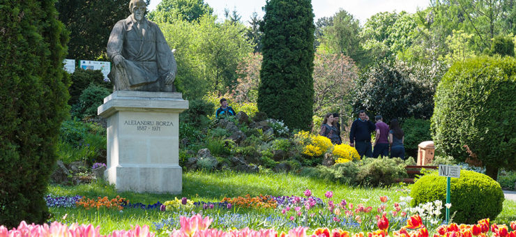 Parcul Babeș și Grădina Botanică au fost închise